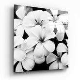 Black and White Flowers Glass Wall Art.